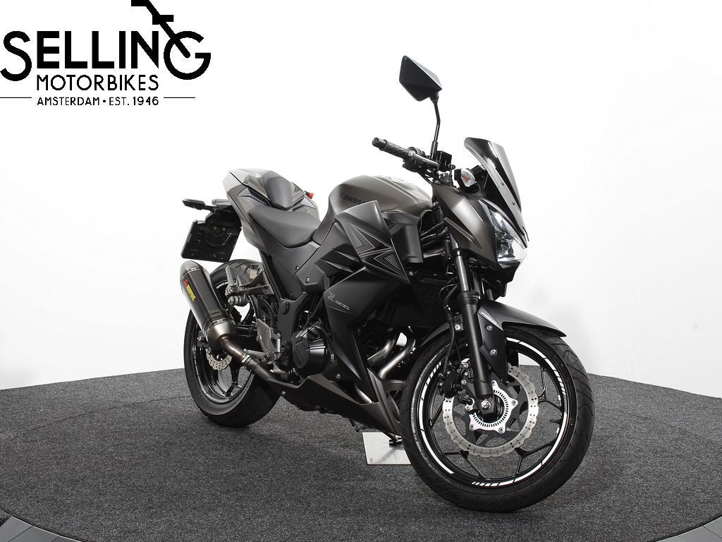 Z 300 Performance edition