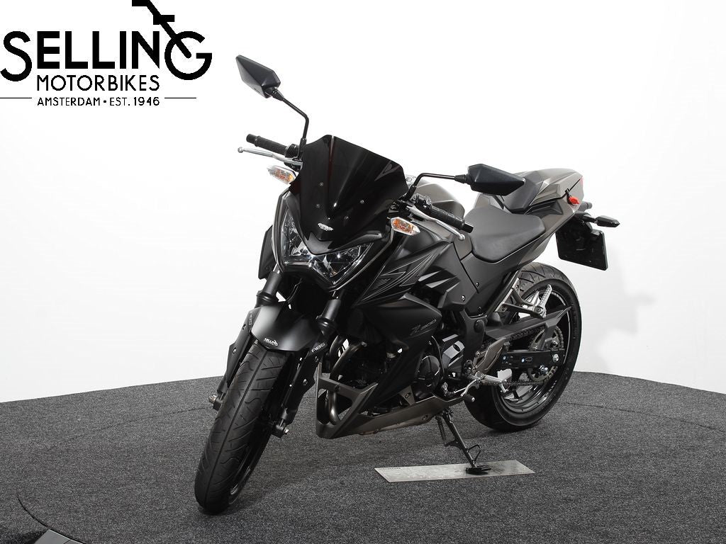 Z 300 Performance edition