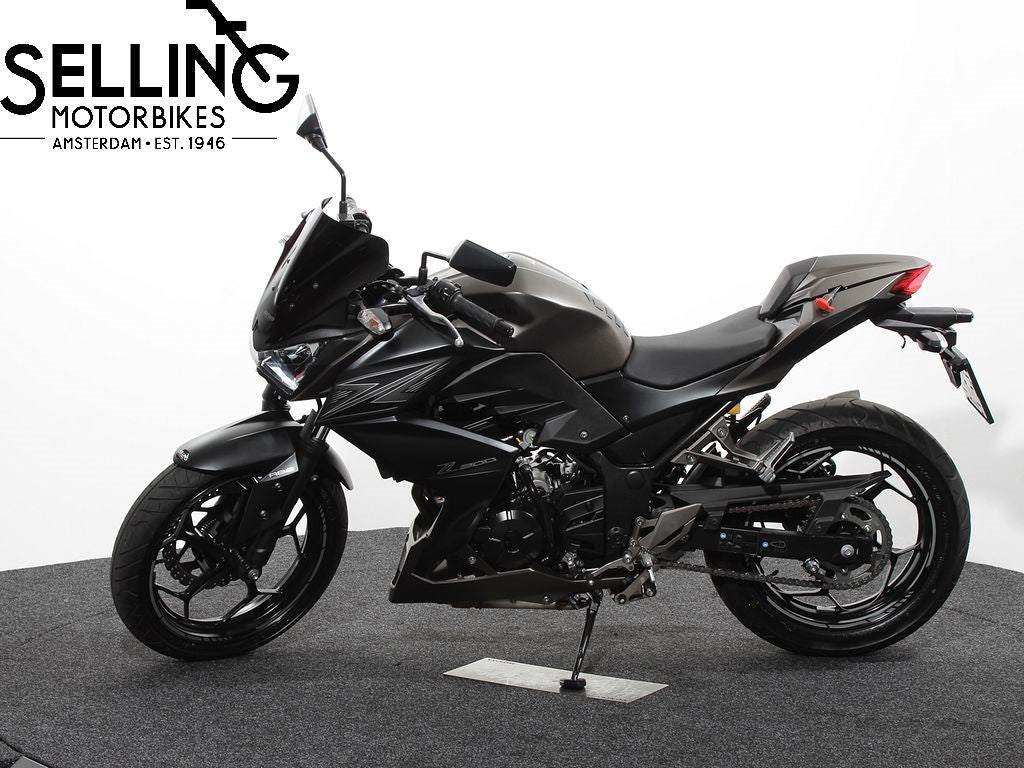 Z 300 Performance edition