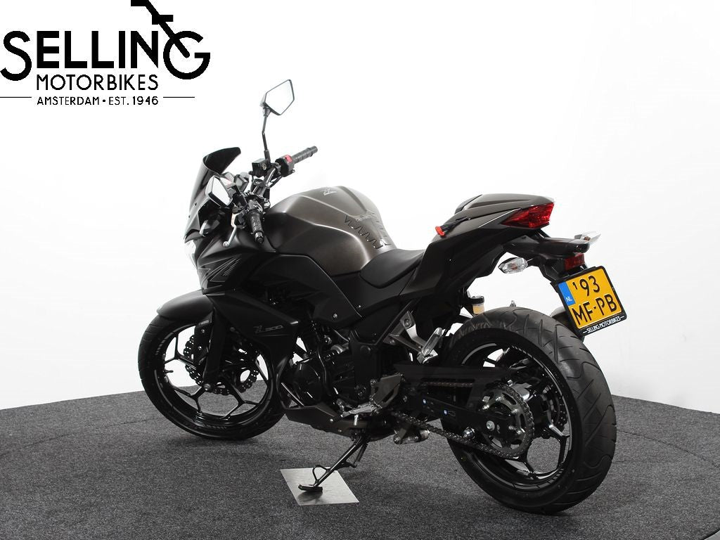 Z 300 Performance edition