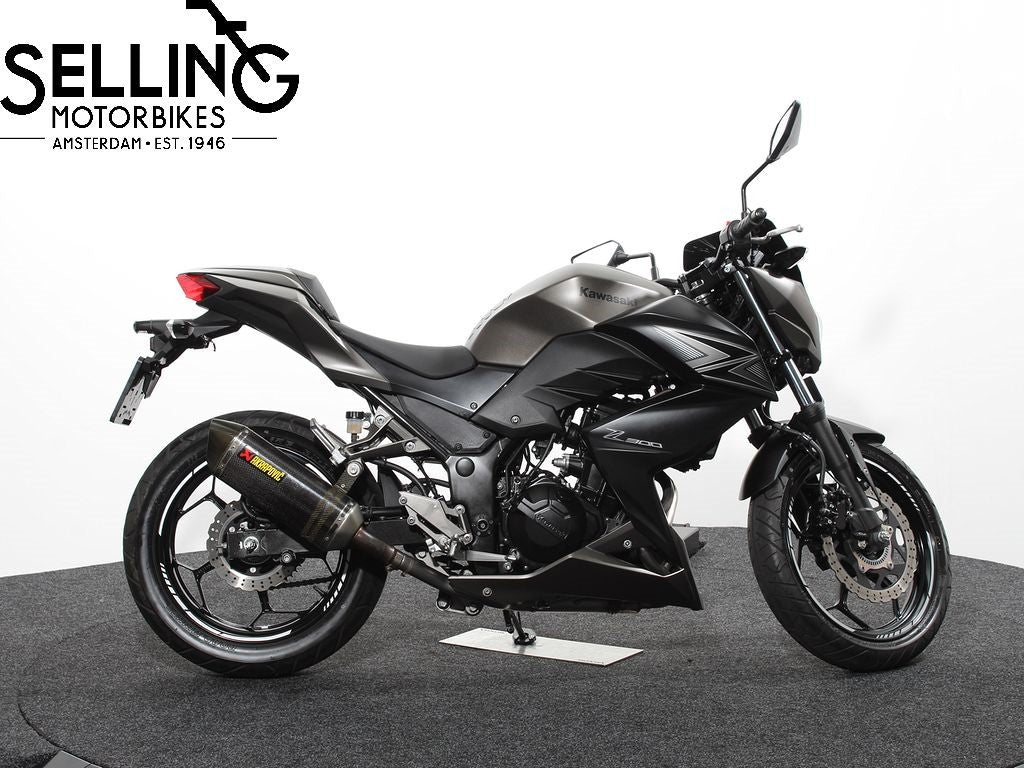 Z 300 Performance edition